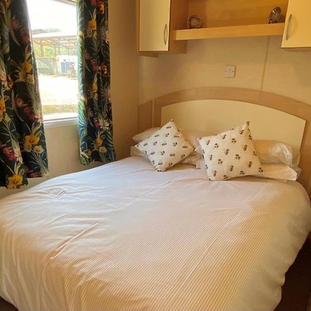 Rose Corner Apartment Axminster Bagian luar foto